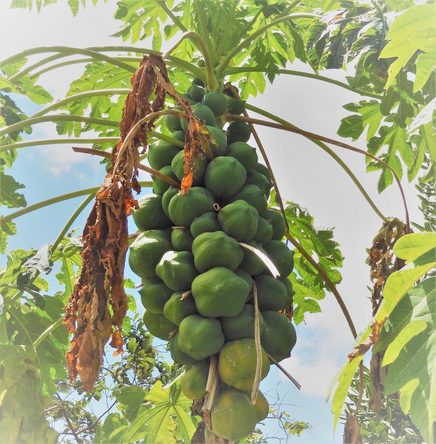 Domaine Saint Francois Saint-Francois (Grande-Terre) Bagian luar foto